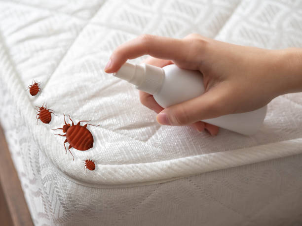 Best Indoor Pest Control  in Roanoke, IN